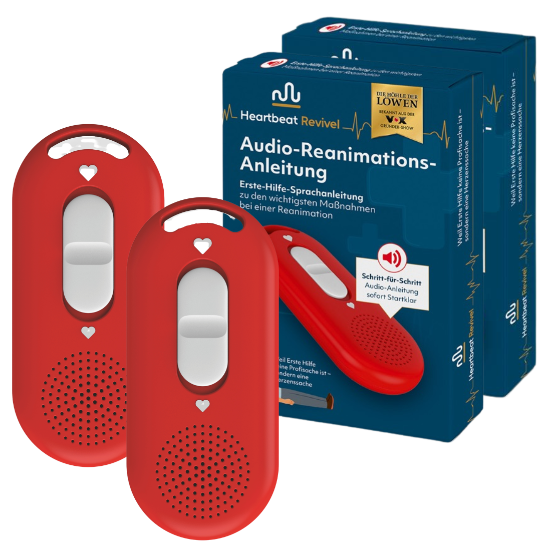 Audio-Reanimations-Anleitung