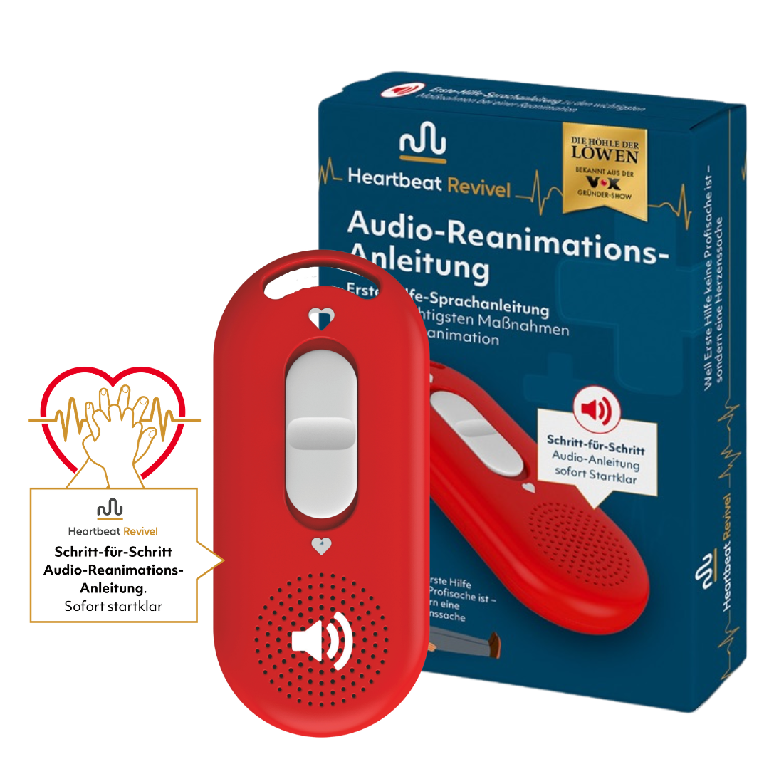 Audio-Reanimations-Anleitung